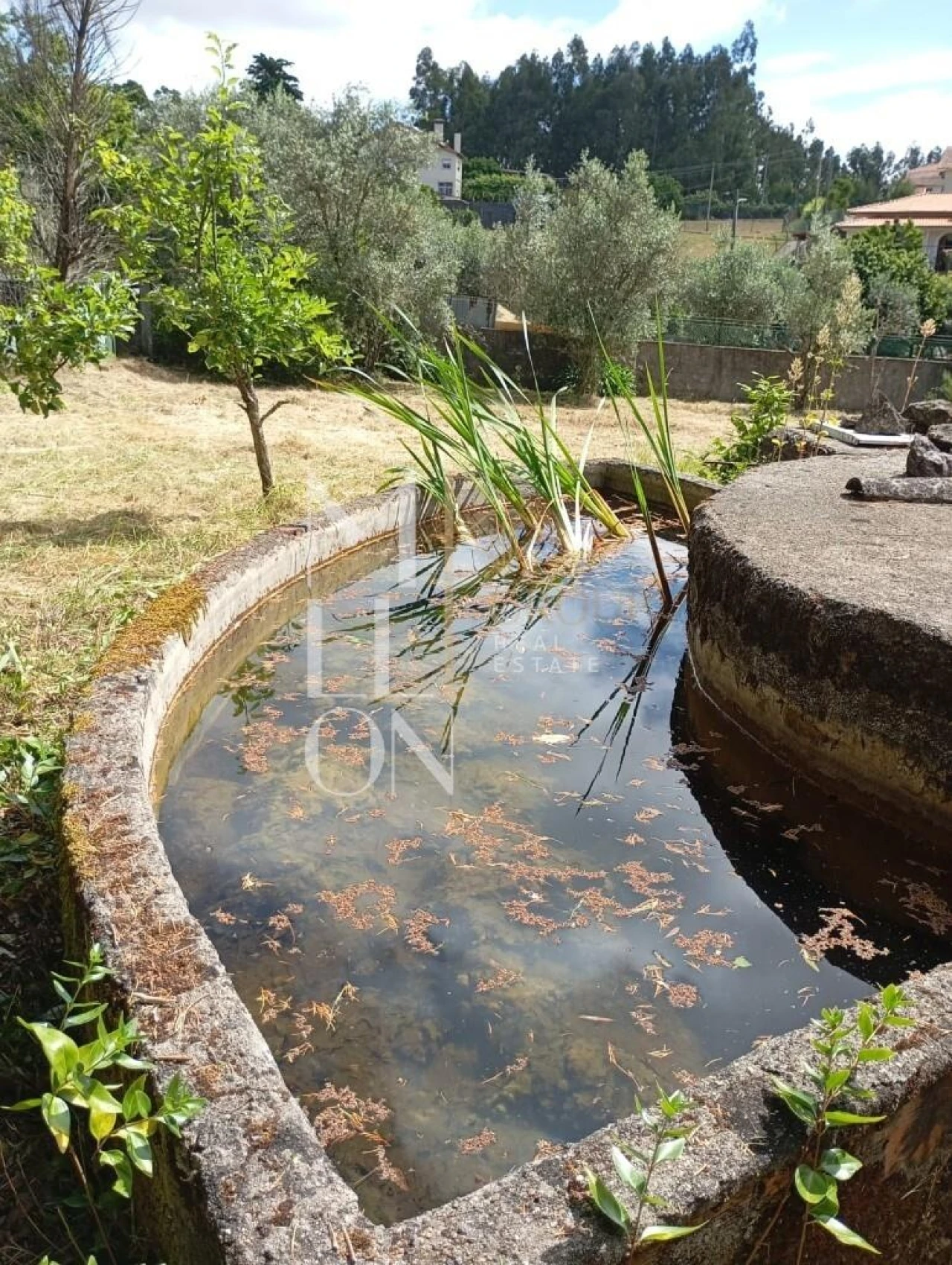 Terreno para Venda em Castanheira de Pêra e Coentral Foto 1