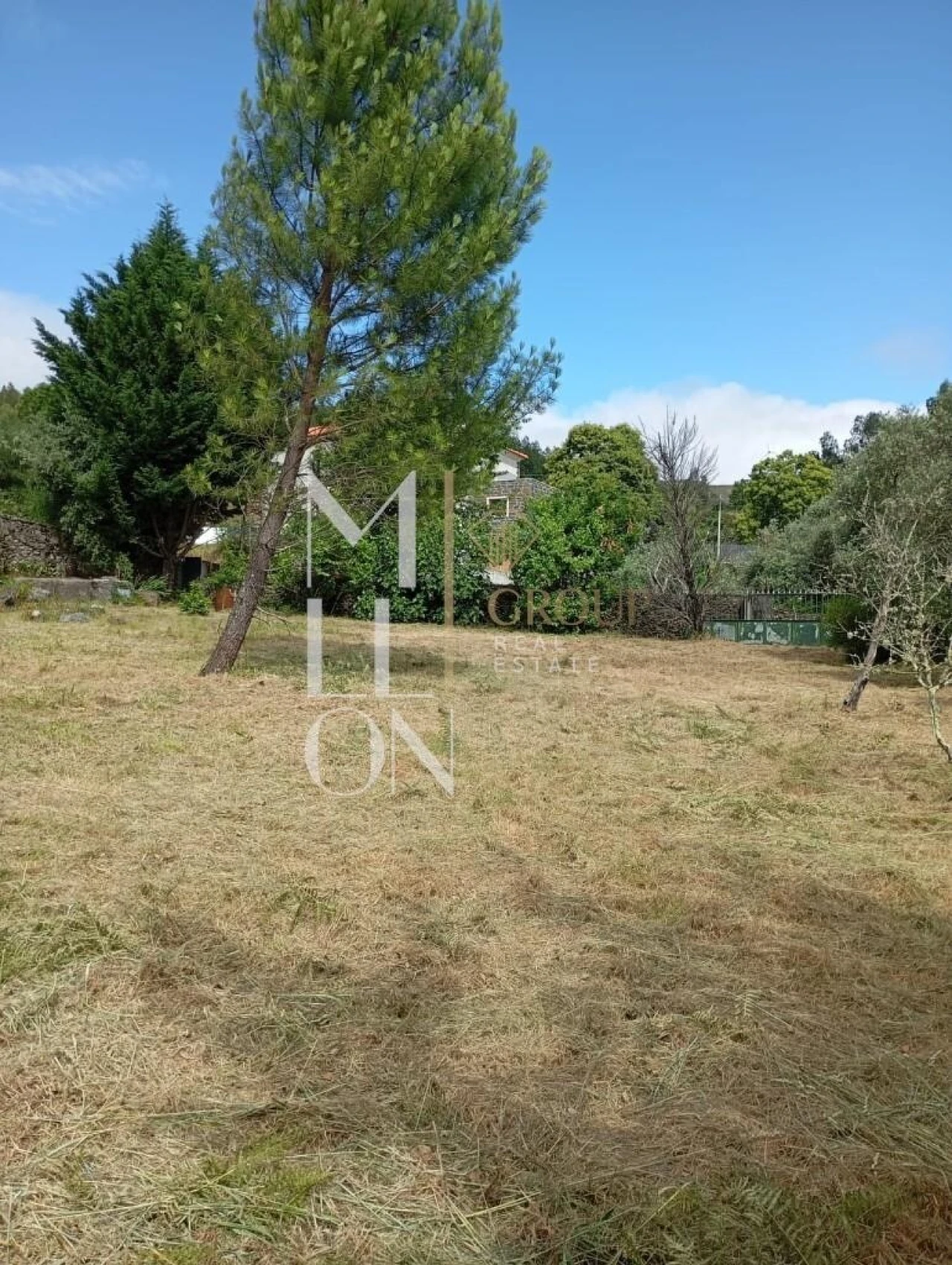 Terreno para Venda em Castanheira de Pêra e Coentral Foto 11
