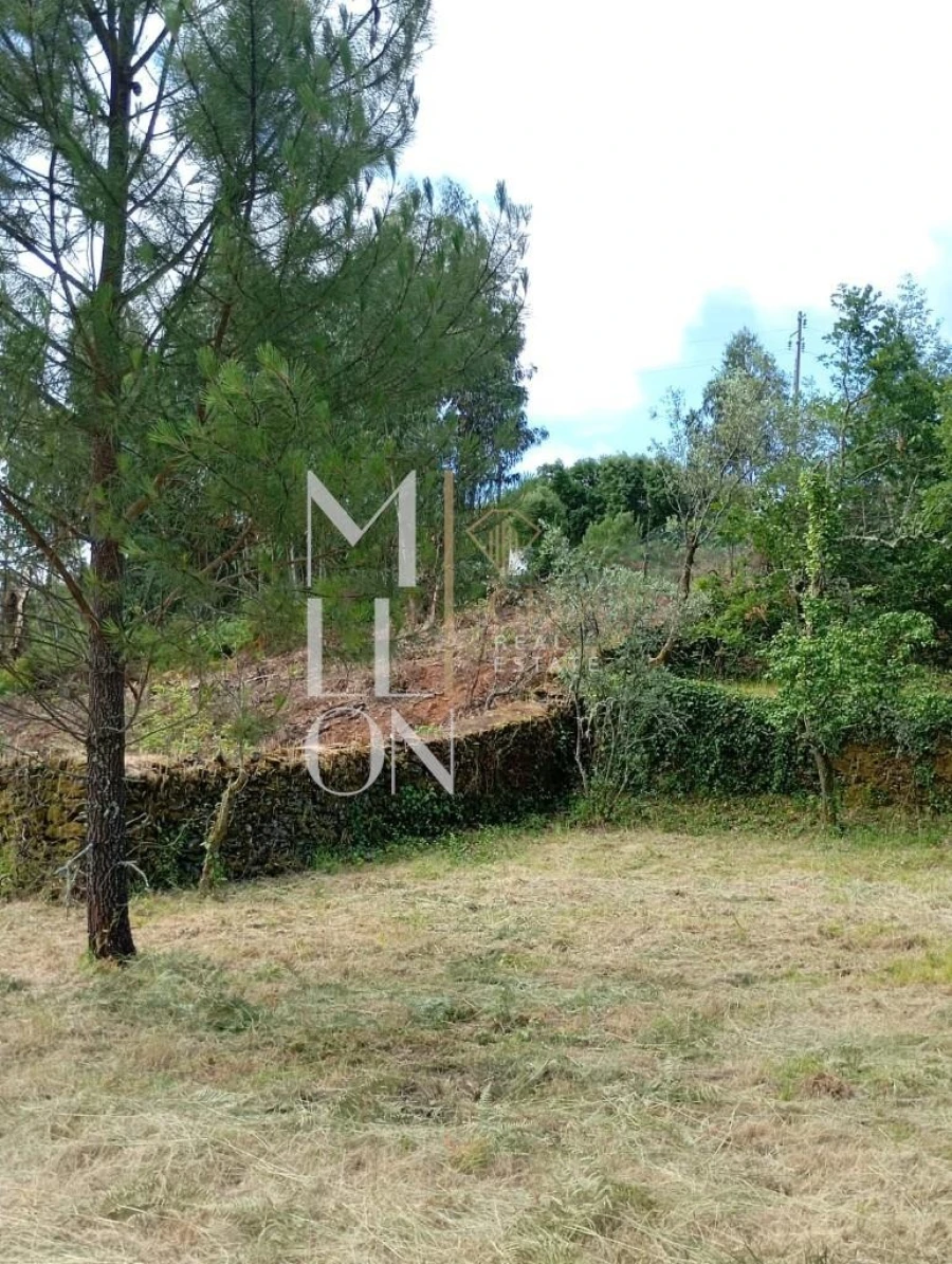 Terreno para Venda em Castanheira de Pêra e Coentral Foto 12