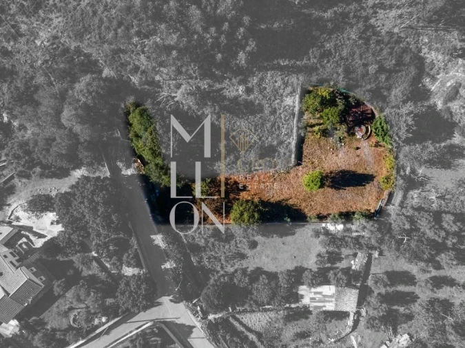 Terreno para Venda em Castanheira de Pêra e Coentral Foto 7