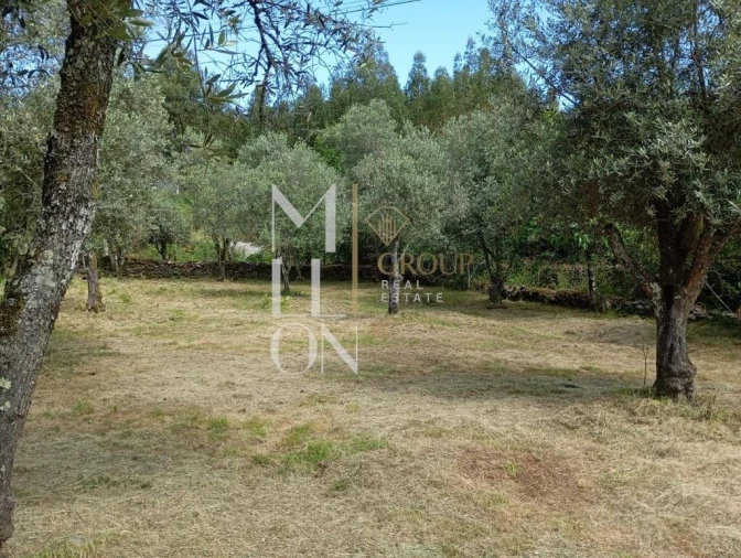 Terreno para Venda em Castanheira de Pêra e Coentral Foto 17