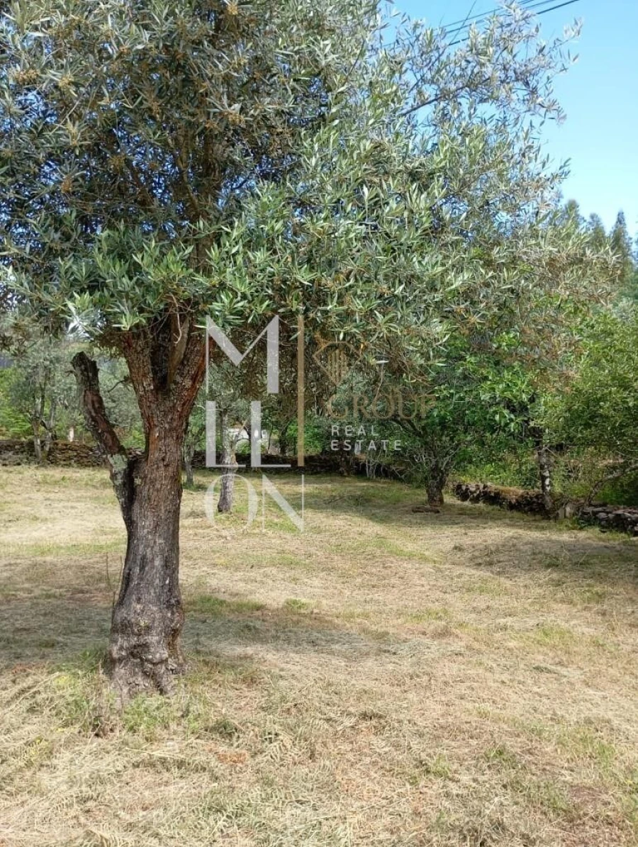 Terreno para Venda em Castanheira de Pêra e Coentral Foto 19