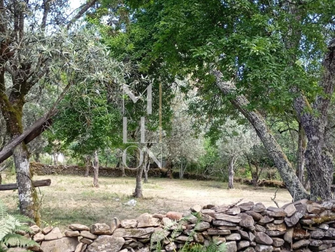 Terreno para Venda em Castanheira de Pêra e Coentral Foto 15