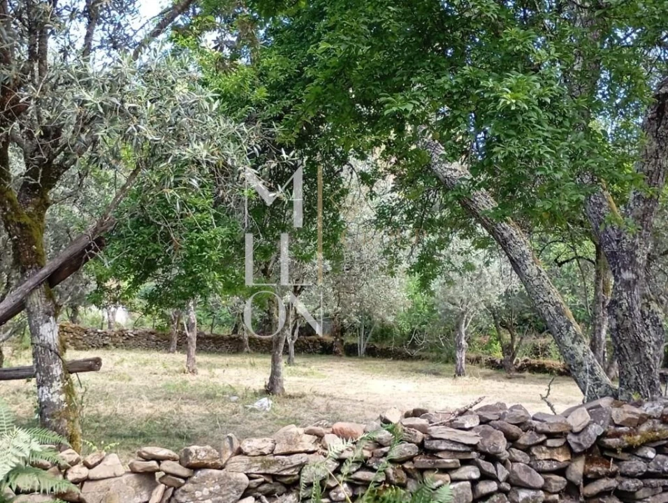 Terreno para Venda em Castanheira de Pêra e Coentral Foto 15