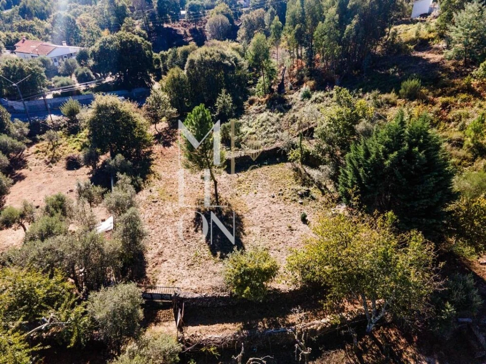 Terreno para Venda em Castanheira de Pêra e Coentral Foto 8