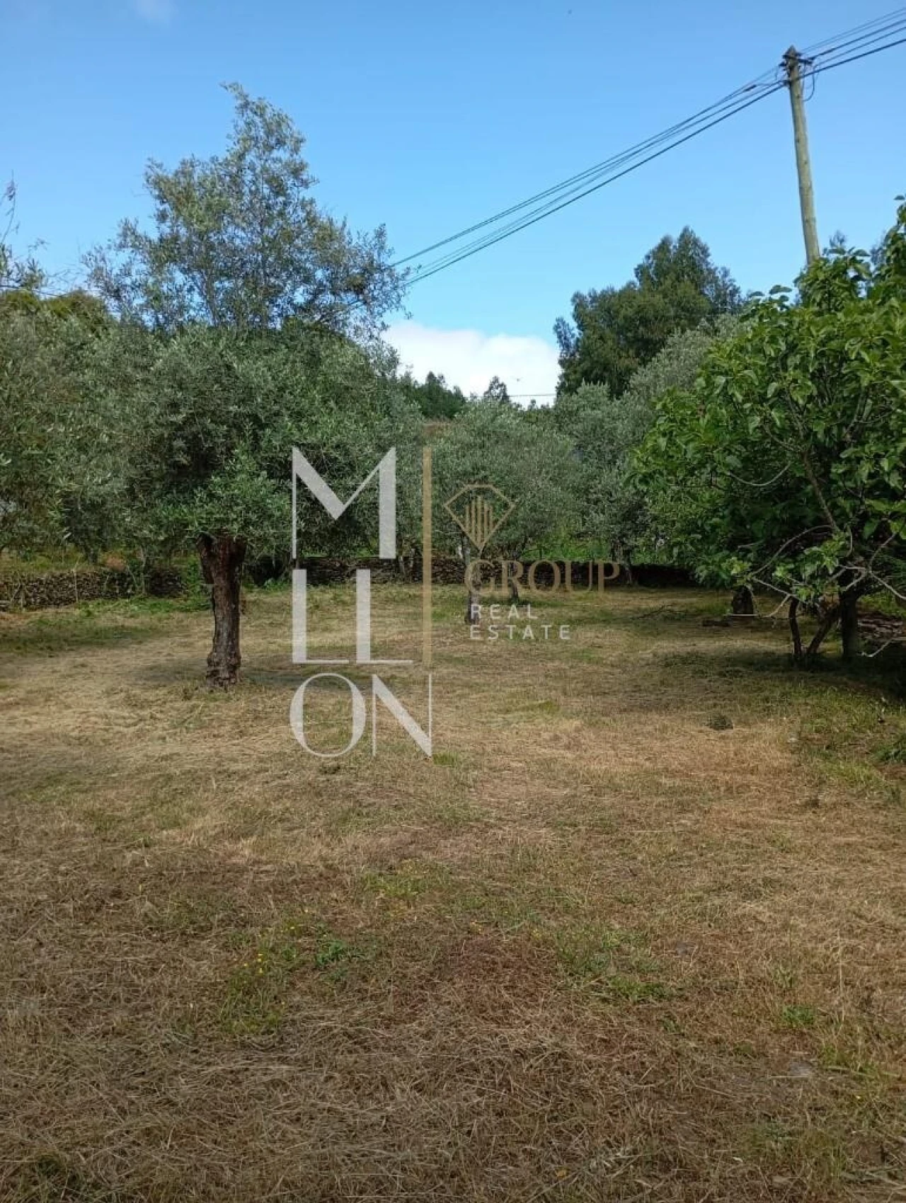 Terreno para Venda em Castanheira de Pêra e Coentral Foto 18