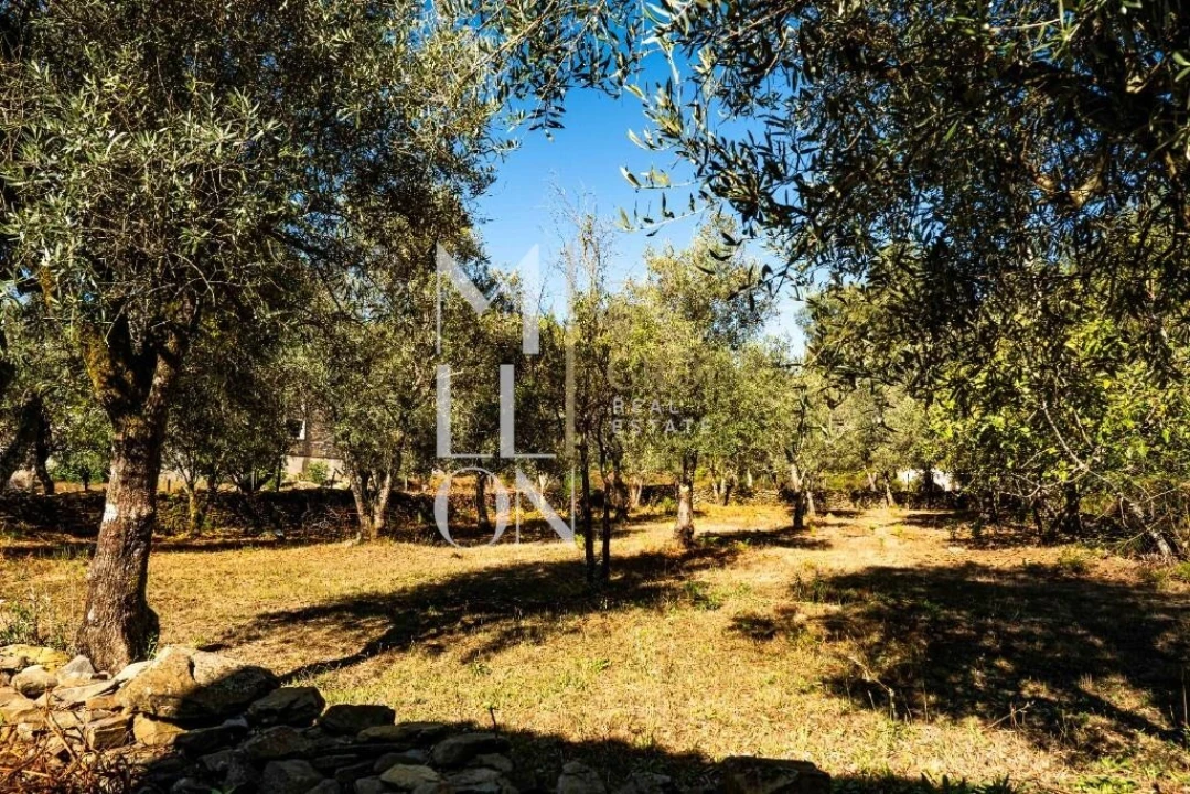 Terreno para Venda em Castanheira de Pêra e Coentral Foto 16