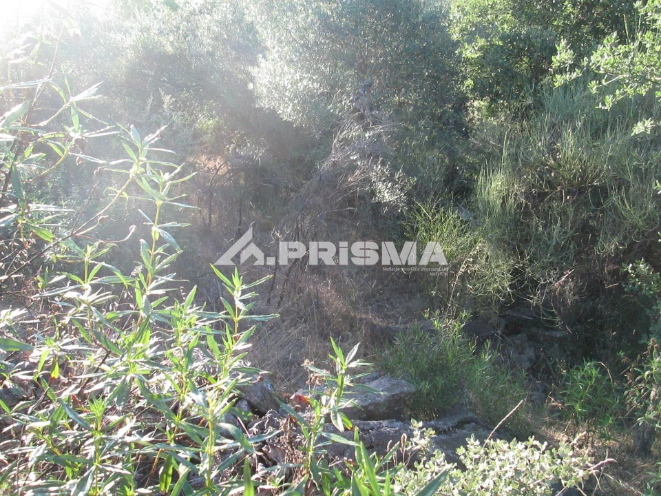 Terreno para Venda em Penha Garcia Foto 44