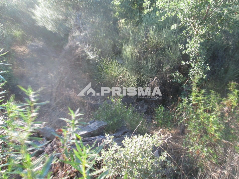 Terreno para Venda em Penha Garcia Foto 45