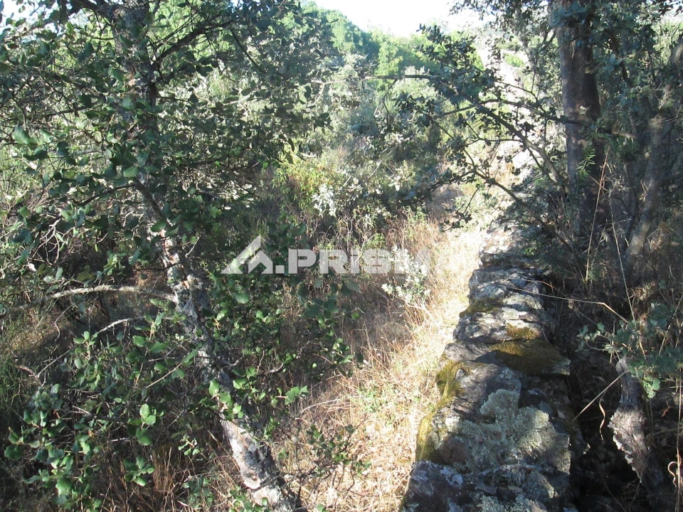 Terreno para Venda em Penha Garcia Foto 41
