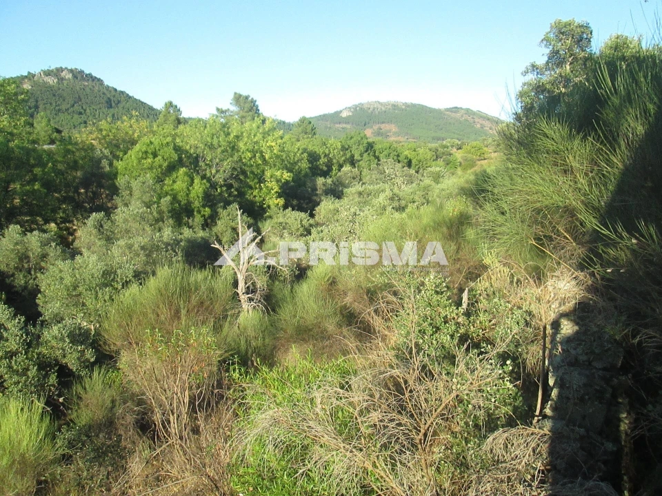 Terreno para Venda em Penha Garcia Foto 38
