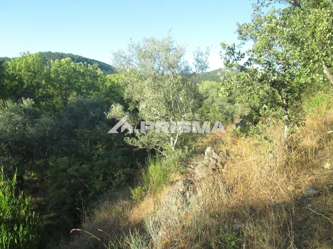 Terreno para Venda em Penha Garcia Foto 25