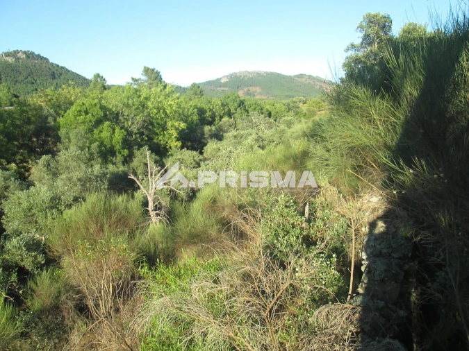 Terreno para Venda em Penha Garcia Foto 37