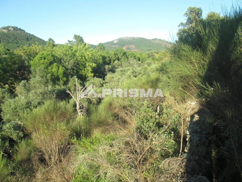 Terreno para Venda em Penha Garcia Foto 37