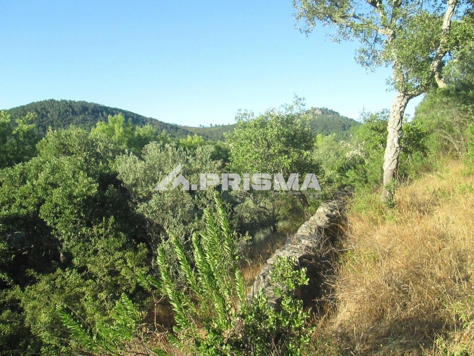 Terreno para Venda em Penha Garcia Foto 26