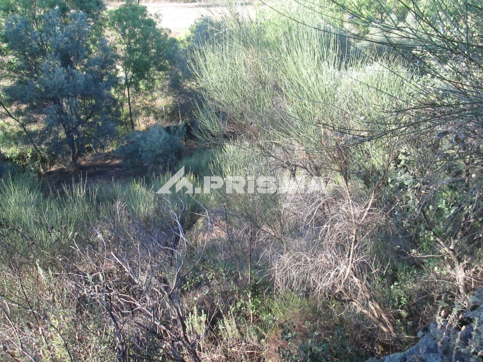 Terreno para Venda em Penha Garcia Foto 34