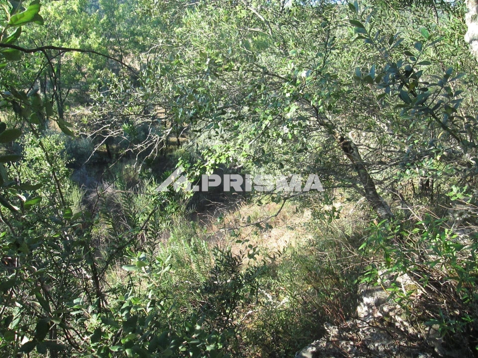 Terreno para Venda em Penha Garcia Foto 31