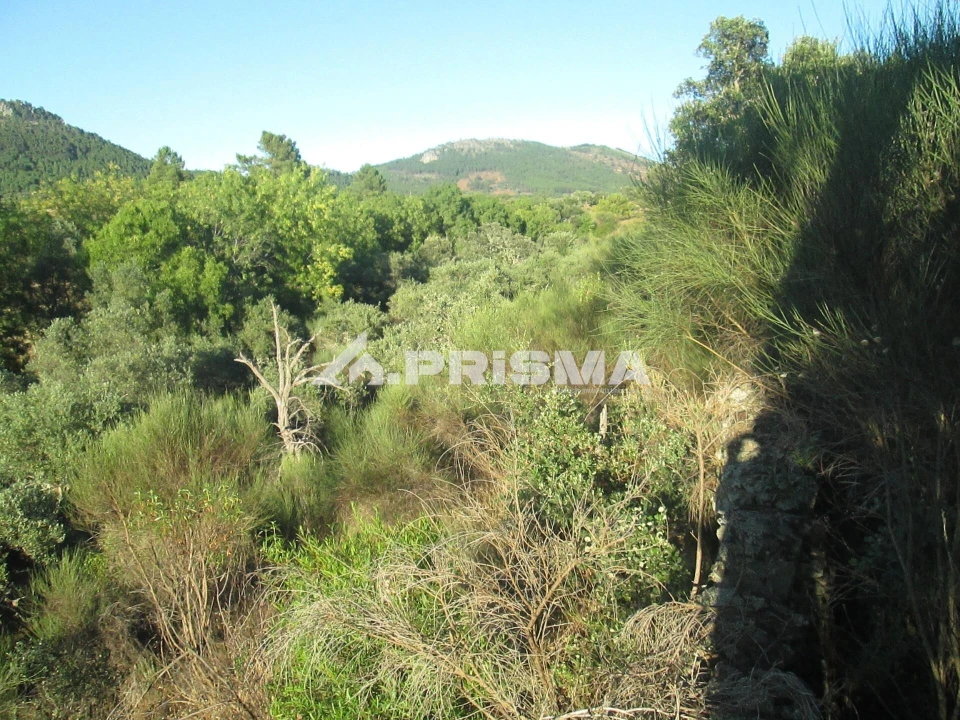 Terreno para Venda em Penha Garcia Foto 36