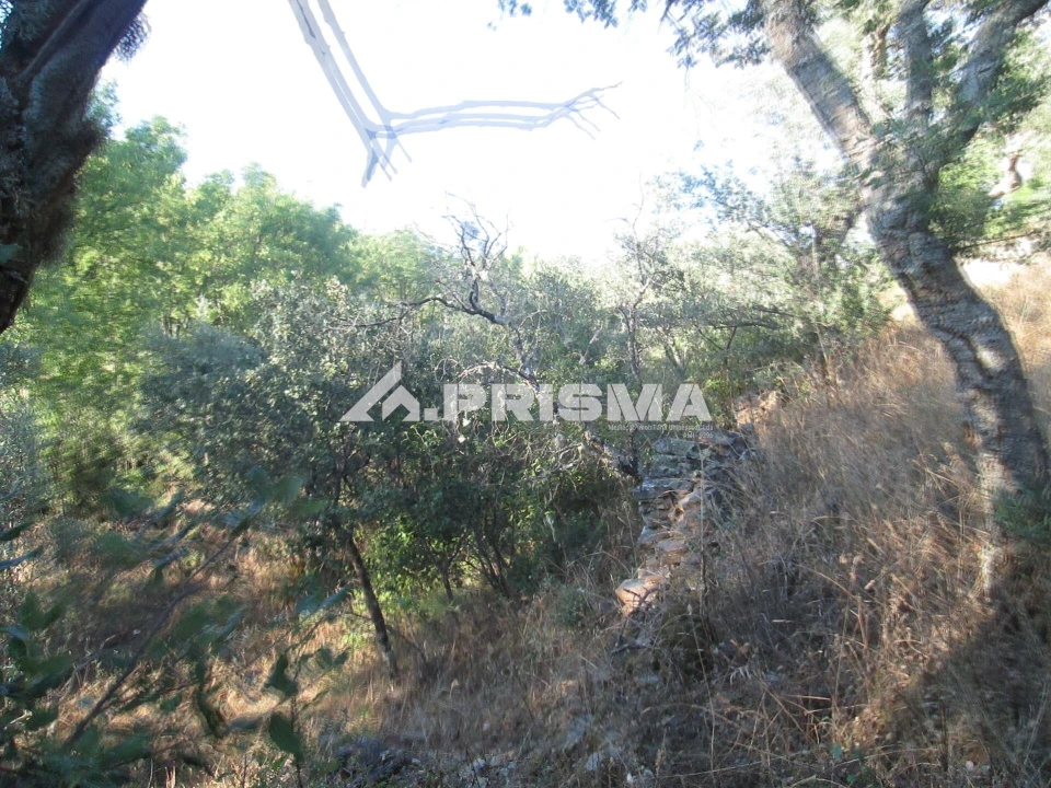 Terreno para Venda em Penha Garcia Foto 24