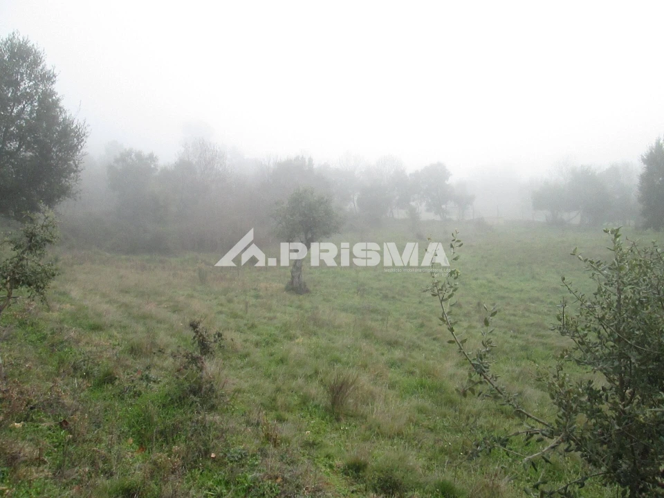 Terreno para Venda em Penha Garcia Foto 29