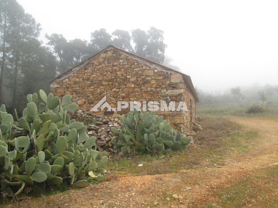 Terreno para Venda em Penha Garcia Foto 8