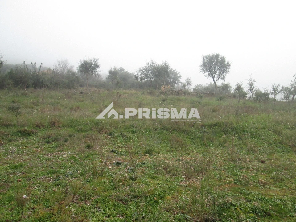 Terreno para Venda em Penha Garcia Foto 17