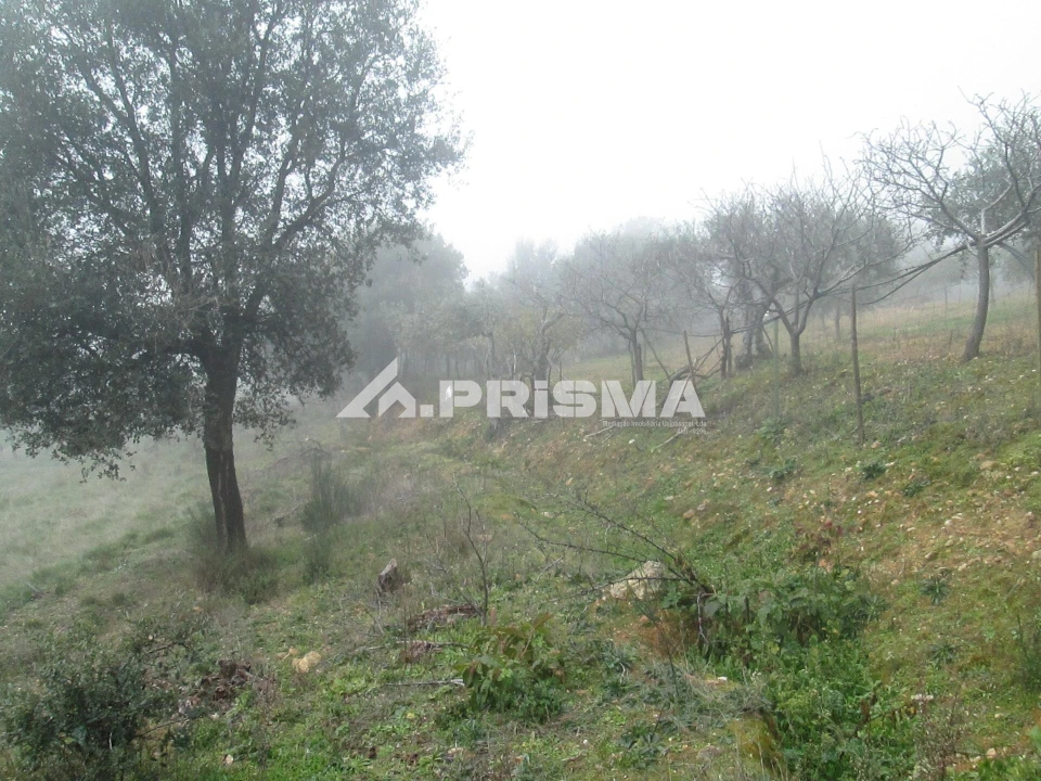 Terreno para Venda em Penha Garcia Foto 27