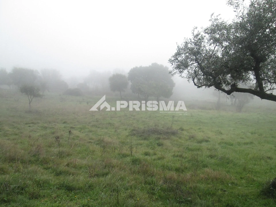 Terreno para Venda em Penha Garcia Foto 32