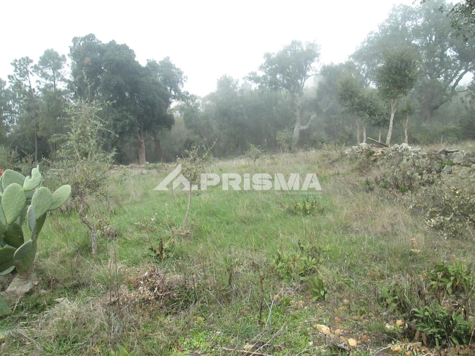 Terreno para Venda em Penha Garcia Foto 20