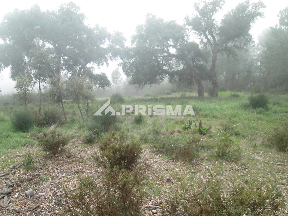 Terreno para Venda em Penha Garcia Foto 37