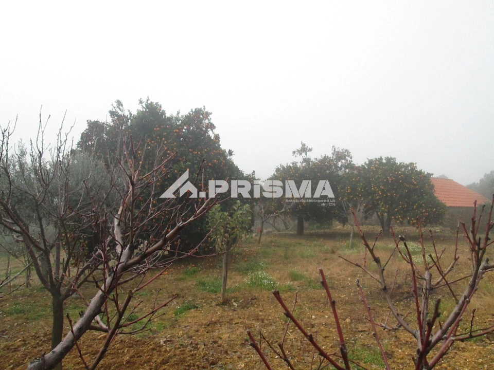 Terreno para Venda em Penha Garcia Foto 24