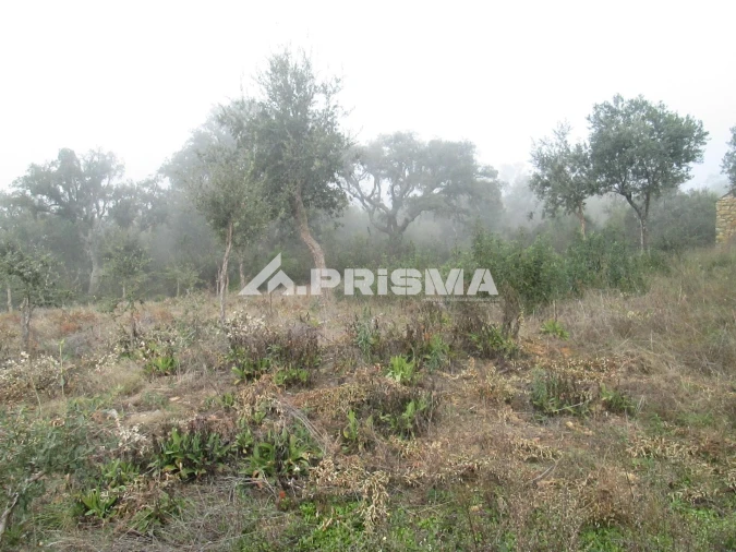 Terreno para Venda em Penha Garcia Foto 23