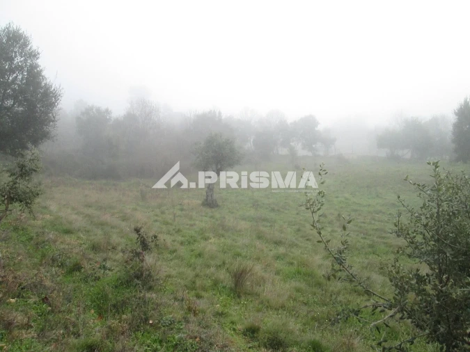 Terreno para Venda em Penha Garcia Foto 29