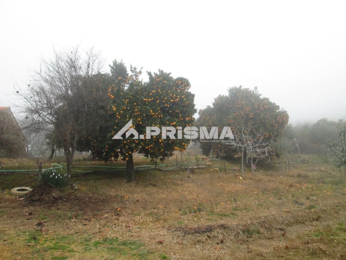 Terreno para Venda em Penha Garcia Foto 14