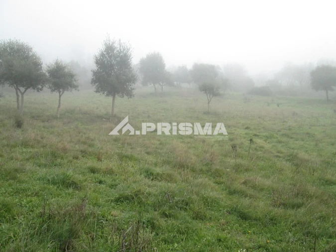 Terreno para Venda em Penha Garcia Foto 31