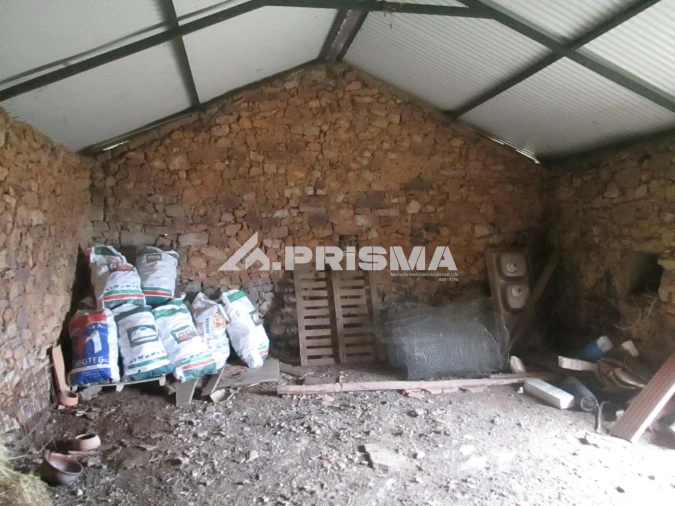 Terreno para Venda em Penha Garcia Foto 9