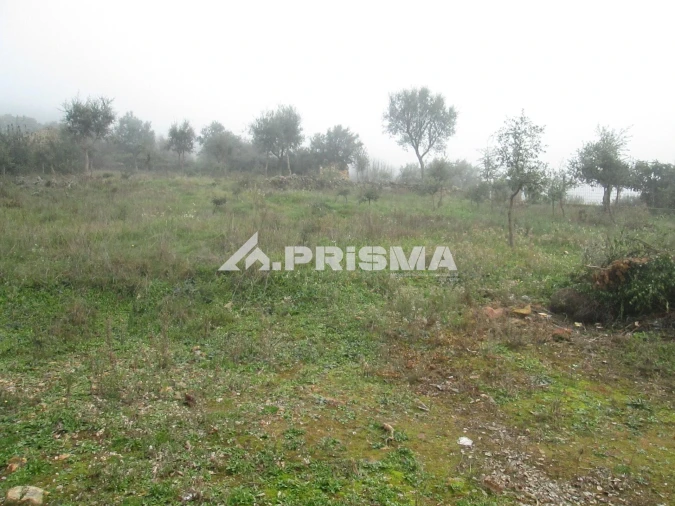 Terreno para Venda em Penha Garcia Foto 18