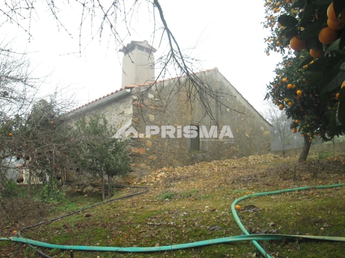 Terreno para Venda em Penha Garcia Foto 2