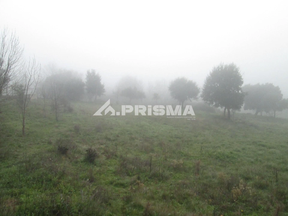Terreno para Venda em Penha Garcia Foto 28