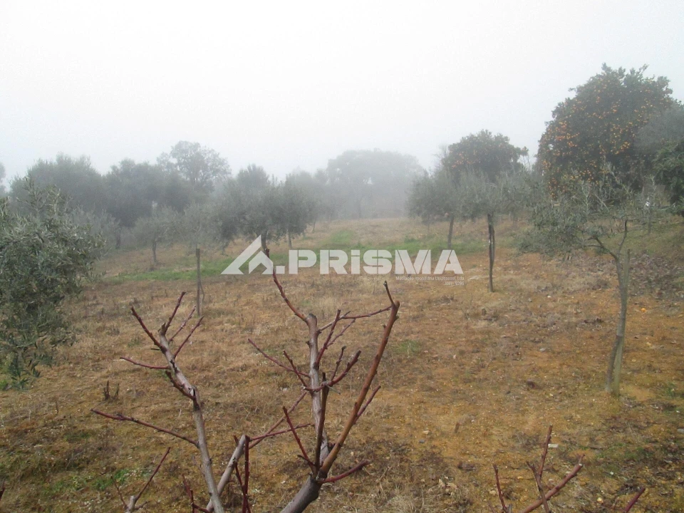 Terreno para Venda em Penha Garcia Foto 26
