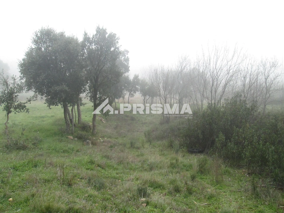 Terreno para Venda em Penha Garcia Foto 33