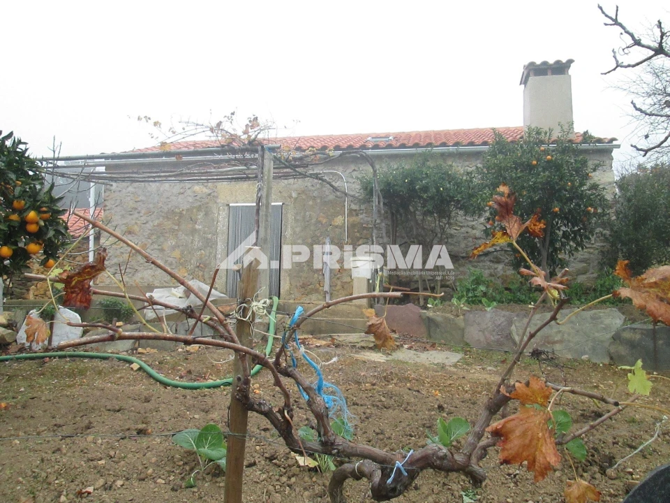 Terreno para Venda em Penha Garcia Foto 1