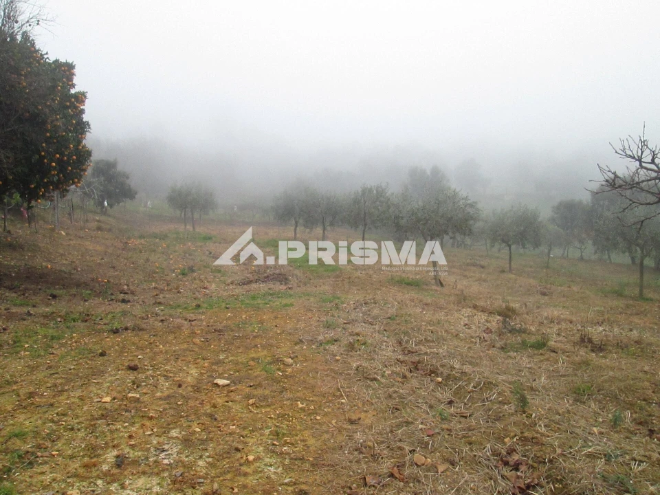 Terreno para Venda em Penha Garcia Foto 16