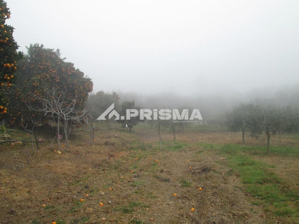 Terreno para Venda em Penha Garcia Foto 13