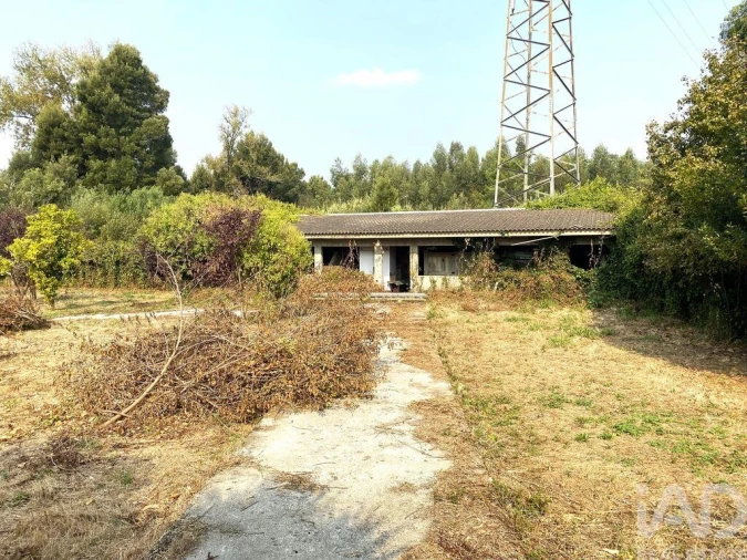 Moradia T4 para Venda em Cortegaça Foto 25