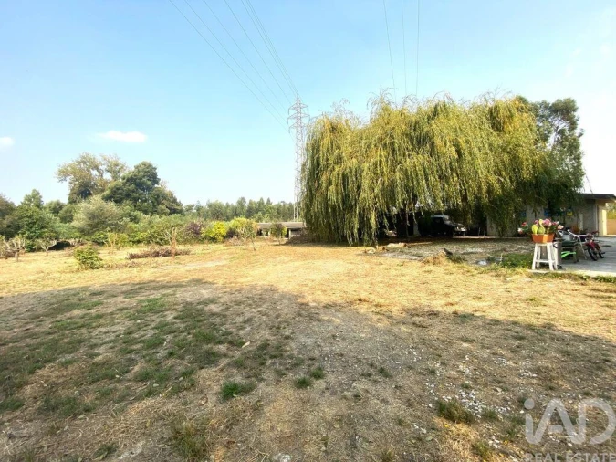 Moradia T4 para Venda em Cortegaça Foto 23