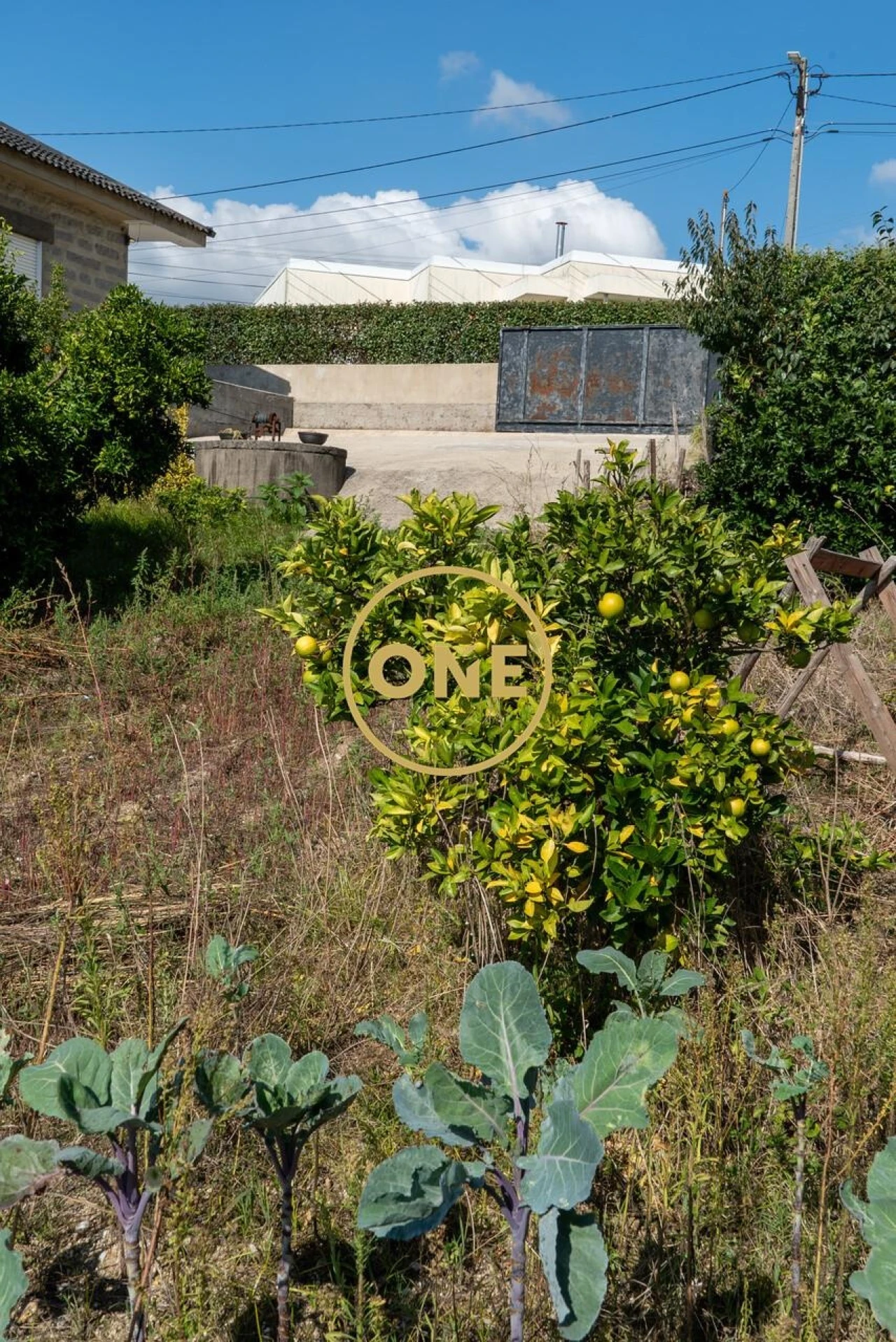 Terreno para Venda em Joane Foto 10