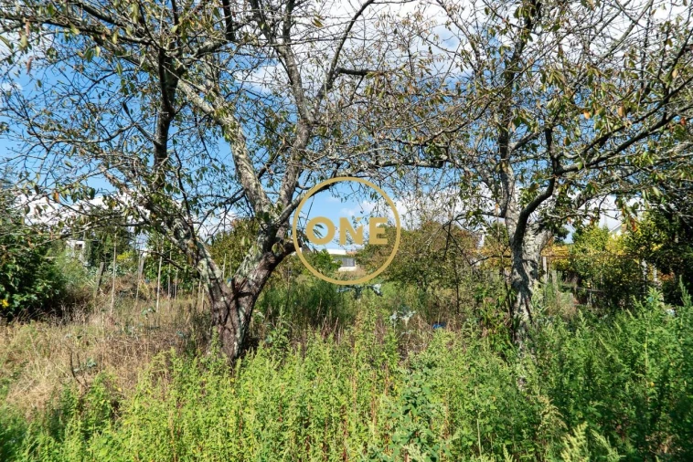 Terreno para Venda em Joane Foto 15