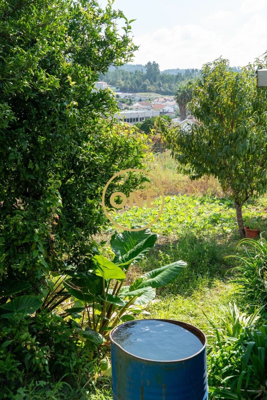 Terreno para Venda em Joane Foto 7