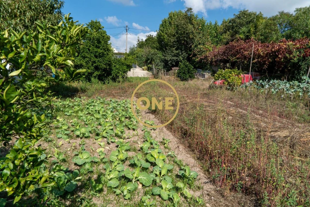 Terreno para Venda em Joane Foto 11